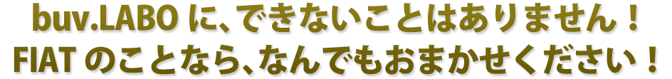 buv.LABOに、できないことはありません！フィアットのことなら、なんでもおまかせください！