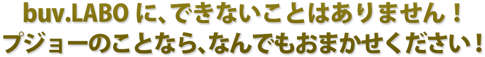 buv.LABOに、できないことはありません！プジョーのことなら、なんでもおまかせください！