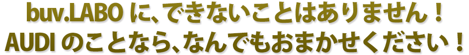 buv.LABOに、できないことはありません！Audiのことなら、なんでもおまかせください！