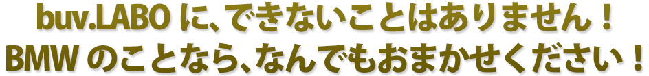 buv.LABOに、できないことはありません！BMWのことなら、なんでもおまかせください！