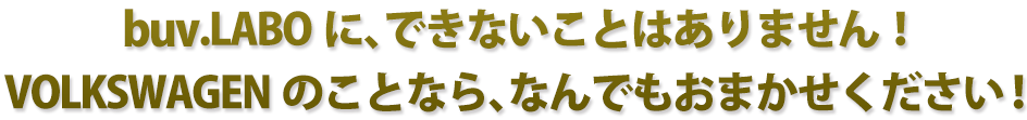 buv.LABOに、できないことはありません！ワーゲンのことなら、なんでもおまかせください！