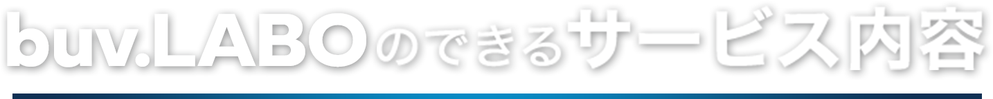 buv.LABOのできるサービス内容